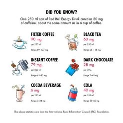 Food And Snacks Red Bull Energy Drink 473mL 9 Food And Snacks Red Bull Energy Drink 473mL -Camping Equipment Sales Shop BCF 526282 02 hi res